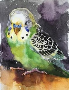 a watercolor painting of a green and yellow parakeet