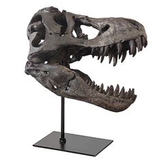 a dinosaur skull is shown on a stand