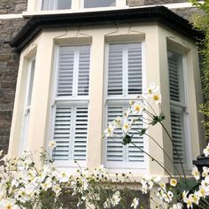 white flowers are in front of a window with shutters on the side of it