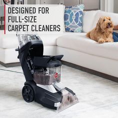 a dog is laying on the floor next to a carpet cleaning machine and a couch