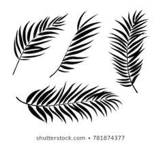 black and white silhouettes of palm leaves on a white background, set of four