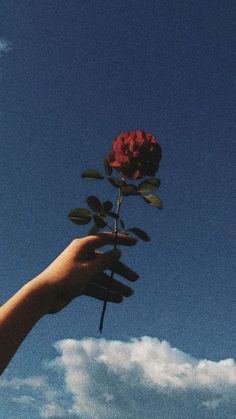 a person's hand holding a red rose against a blue sky with white clouds