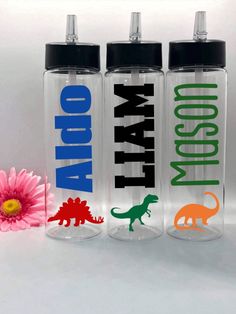 three personalized water bottles with dinosaurs on them and a pink flower in the foreground