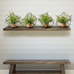 some plants are sitting on top of a shelf