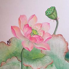 a watercolor painting of a pink flower with a green frog sitting on it's back