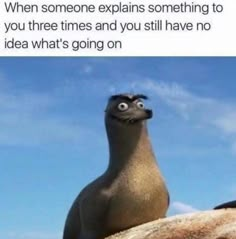 a sea lion with the caption when someone explains something to you three times and you still have no idea what's going on