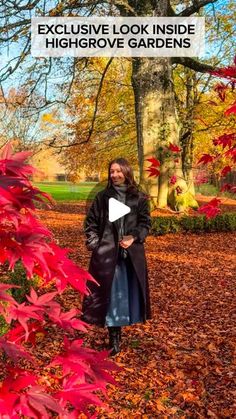 Sima | Travel Content Creator on Instagram: "Did you know that you can visit the King’s private residence - Highgrove House and Gardens?

Last week it was a real privilege to be invited by the King’s Foundation to tour the stunning 15 acre gardens and experience Christmas at Highgrove. 

A crisp autumnal morning was the perfect backdrop to wander the beautifully and naturally crafted gardens and have an insight into the educational programmes run by the charity. 

Followed by the most perfect Royal afternoon tea where every ingredient was sourced directly from Highgrove’s gardens or inspired by its kitchen.

A special day straight for the memory banks ✨🎄

Ad - invite @highgrovegarden @kingsfdn #thecuriouspixiewanders

_________

#highgrove #highgrovegardens #gardens #royalfamily #royalgar Highgrove Garden, Highgrove House, Banks Ads, Travel Content, Content Creator, Afternoon Tea, Royal Family, The King, Did You Know