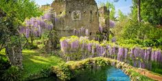 a painting of a castle surrounded by trees and flowers in the foreground is a small pond