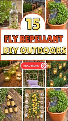 a collage of different pictures with the words 15 fly replant diy outdoorss