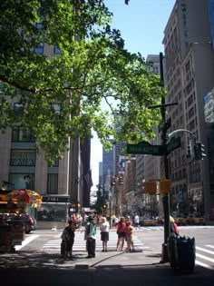 people are walking down the street in front of tall buildings and large green trees on a sunny day