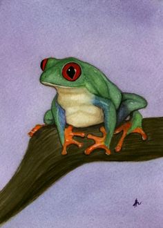 a painting of a frog sitting on a branch