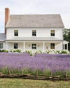 a large white house surrounded by lavender flowers