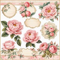 pink roses with green leaves and frames on a white background for scrapbooking or embellishments