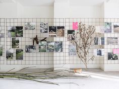 an arrangement of branches and pictures on a wall in a room with white tiles,