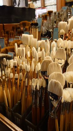 many brushes are lined up on display in a store