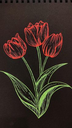 three red tulips with green stems on a black background, drawn by colored chalk