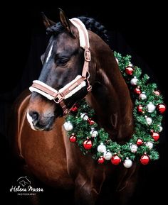 a brown horse wearing a christmas wreath around its neck