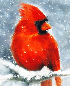 a painting of a cardinal sitting on a branch in the snow