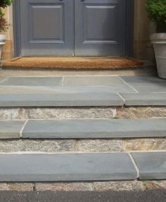 the steps lead up to an entrance with potted plants on each side and two doors in the background