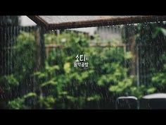 the rain is falling down on an outdoor area with trees and bushes in the background