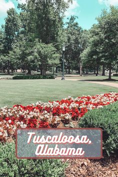 there is a sign that says tuscaalessia, ukraine in front of some flowers