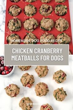 homemade dog food recipe chicken cranberry meatballs for dogs with text overlay