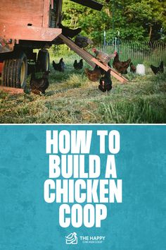 How to Build a Chicken Coop | The Happy Chicken Coop Chicken Coops, Fresh Eggs