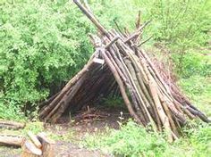 a pile of sticks sitting in the middle of a forest