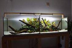 an aquarium is shown with plants and rocks in the bottom right hand corner, on top of a wooden table