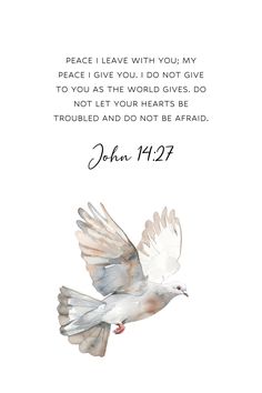 Wings Bible Verse, Sparrow Bible Verse, Bible Verse Birds, Scriptures About Birds, Psalm 57:1 Wings, Jesus Love Images, Biblical Quotes Inspirational, Scripture Wallpaper, Christian Motivational Quotes