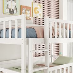 a white bunk bed sitting next to a wall with pictures on the wall above it