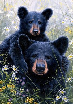 two black bears are sitting in the tall grass with daisies and daisies around them