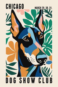 the chicago dog show poster is shown in black, white, and orange colors with an image of a doberman