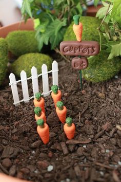 a garden with carrots in the dirt and a sign that says best 25 + garden accessories ideas on pl