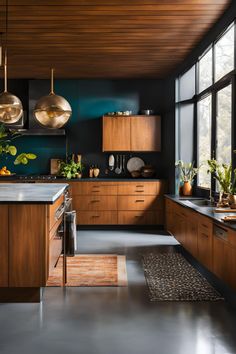 a kitchen with wooden cabinets and black counter tops, along with potted plants on the wall