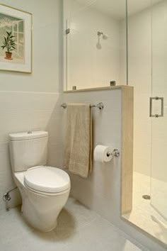 a white toilet sitting next to a shower in a bathroom under a framed picture on the wall