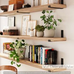 two wooden shelves with books and plants on them, one shelf is filled with books