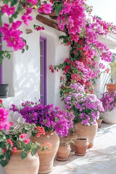 many potted flowers on the outside of a house