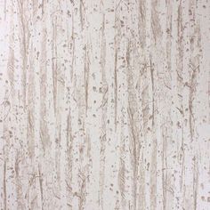 Sample Birch Wallpaper in beige from the Mansard Collection by Osborne & Little Birch Wallpaper, Vinyl Wall Covering, Trees Wallpaper, 1% Wallpaper, Silver Birch, Bathroom Wallpaper, Pierre Frey, Wallpaper Online, Cole And Son