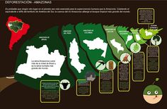 an info board showing the different types of plants and animals in mexico, with information about them