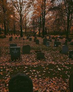 an old cemetery with headstones and leaves on the ground at sunset or dawn in autumn