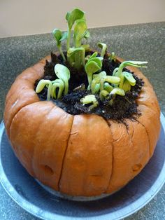 a pumpkin shaped planter with plants growing out of it