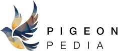 the logo for pigeonon pedia