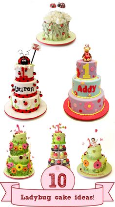 ladybug cake ideas for first birthdays