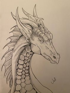 a pencil drawing of a dragon head