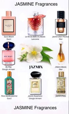 My Way Giorgio Armani, Perfume Ideas, Aesthetic Perfume, Perfume Hacks, Collection Perfume, Perfume Aesthetic, Jasmine Perfume, Gucci Bloom