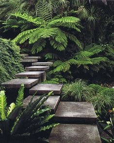 there are many steps made out of concrete in the garden with plants growing on each side