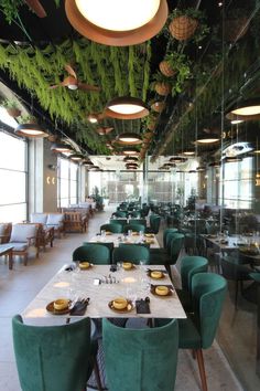 an empty restaurant with green velvet chairs and plants hanging from the ceiling, along with large windows