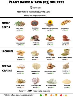 niacin rich foods Zinc Deficiency Symptoms, Zinc Rich Foods, Deficiency Symptoms, Vitamin A Foods, Body Functions, 500 Calorie, Vegan Blog, Vegan Nutrition, Nutritional Deficiencies