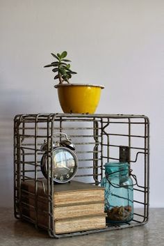 a stack of books and a potted plant sitting on top of eachother